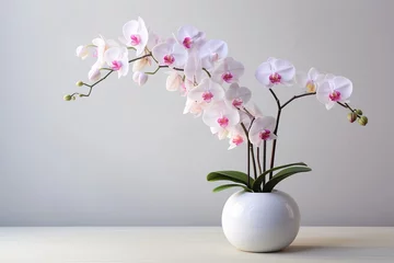 Gordijnen very beautiful pink orchid flowers in a vase on the table, white background © JetHuynh