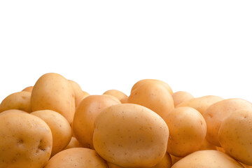 A group of fresh tasty potato isolated on white background.