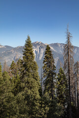 Yosemite National Park, California.