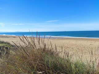 Plage sauvage du pays basque
