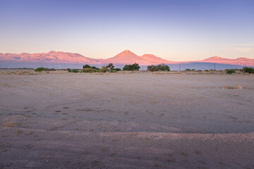 Atacama Desert Landscape, Chile