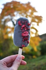 Raspberry ice cream popsicle in autumn with colorful fall leaves