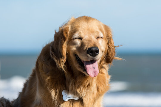 Kimba Sonriendo