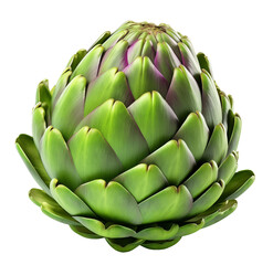 Fototapeta premium Artichoke isolated on white background 