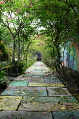 A green archway in the park at summer. Green plant tunnel pergola with climbing plant