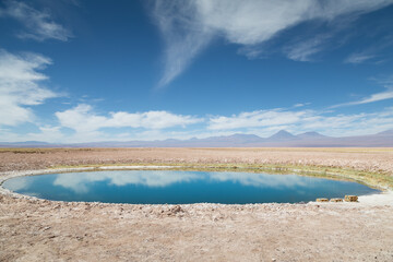 Oasis in the Atacama Desert, Chile