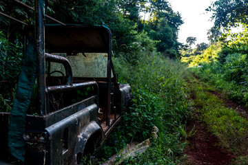 Jeep Off road, en la Selva - obrazy, fototapety, plakaty