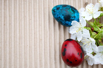 Easter quails eggs painted in different colors Spring composition cherry blossoms on kraft corrugated cardboard Copy space greeting text Colored Egg Holiday border Easter minimal rural concept