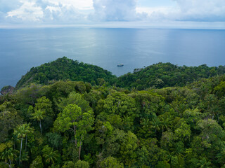 Rainforest covers limestone islands near Misool, Raja Ampat, Indonesia. These scenic islands' coral...
