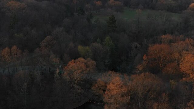 Slow aerial dolly in over Prospect Park with tilt up towards Manhattan skyline at golden hour