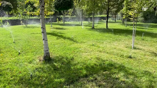 Automatic watering system for lawns in city park