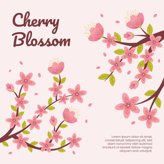 Pink Cherry Tree Blossom Background