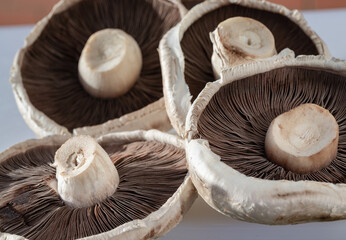 Organic mushrooms Portobello top side and bottom sides spores, caps and stalks over. Fresh Healthy...