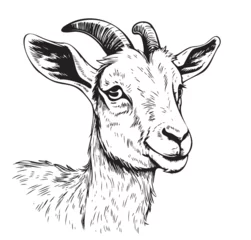 Fotobehang Farm goat kid hand drawn sketch Vector animals © BigJoy