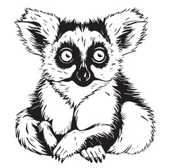 Lemur face cartoon hand drawn sketch Vector Wild animals © BigJoy
