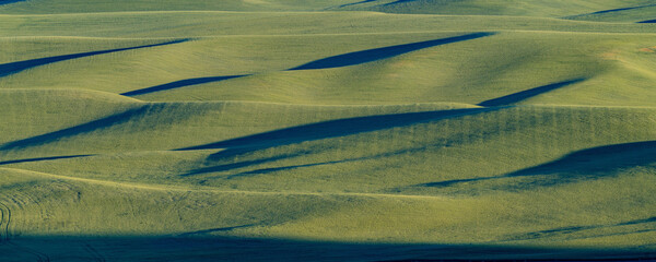 Light and shadow abstract of Palouse hills