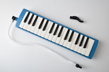 Presentation of melodica prepared to play with the tube