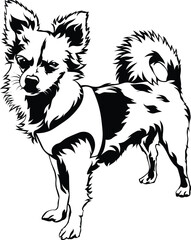 Cartoon Black and White Isolated Illustration Vector Of A Pet Papillon Puppy Dog Standing Up
