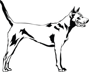 Cartoon Black and White Isolated Illustration Vector Of A Ridgeback Pitbull Pet Puppy Dog Standing Up
