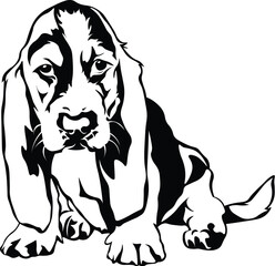 Cartoon Black and White Isolated Illustration Vector Of A Pet Bloodhound Puppy Dog Sitting Down - obrazy, fototapety, plakaty