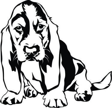 Cartoon Black and White Isolated Illustration Vector Of A Pet Bloodhound Puppy Dog Sitting Down