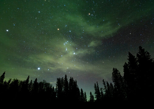 A night sky image of a star filled sky with thin cloud lit up by a distant green Aurora. The foreground is a silhouette treeline of spruce and pine trees. Some stars a blurred as the result of the clo