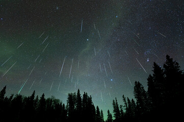 Meteor shower with 47 meteors falling through a star filled sky above a silhouette treeline of spruce and pine trees. The sky is pale green from a distant Aurora. A composite made from 47 images.
 - obrazy, fototapety, plakaty