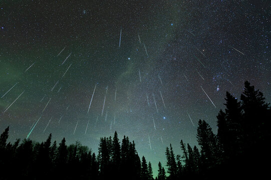 Meteor shower with 47 meteors falling through a star filled sky above a silhouette treeline of spruce and pine trees. The sky is pale green from a distant Aurora. A composite made from 47 images.
