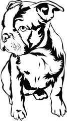 Cartoon Black and White Isolated Illustration Vector Of A Pet Bulldog Puppy Dog Sitting Down