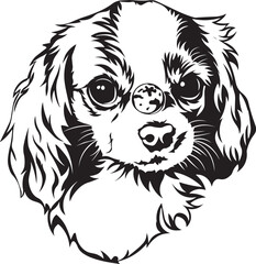 Cartoon Black and White Isolated Illustration Vector Of A Pet Cavalier King Charles Puppy Dogs Face and Head