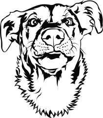 Cartoon Black and White Isolated Illustration Vector Of A Pet Labrador Puppy Dogs Face and Head