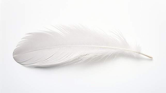 White feather isolated on white background isolated on white background, - Created using AI Generative Technology