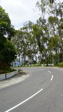 Beautiful scenic road to kodaikanal hills surrounded by lush green Trees