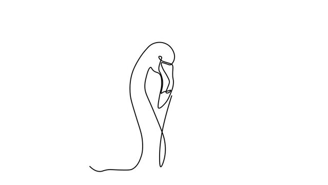 Self drawing animation with one continuous line draw,
two flamingos and a red heart, a couple of lovers, a wedding, love