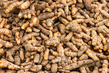 pile of natural dried turmeric for sale on a market in Nuwara Eliya, Sri Lanka