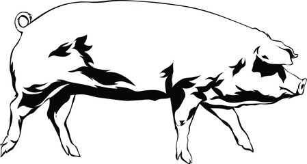 Cartoon Black and White Isolated Illustration Vector Of A Farm Pig Piglet Standing Up