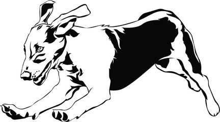 Cartoon Black and White Isolated Illustration Vector Of A Pet Puppy Dog Running Excitedly 