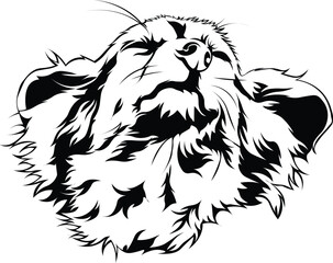 Cartoon Black and White Isolated Illustration Vector Of A Pet Chihuahua Puppy Dogs Face and Head