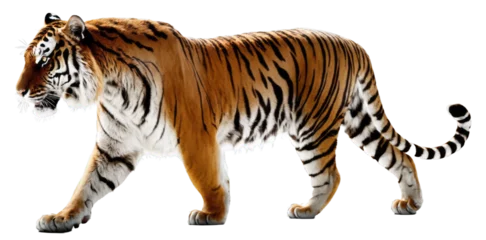 Fotobehang Majestic tiger isolated on transparent background © prasanth