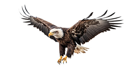 Majestic American Bald Eagle in action on transparent background, PNG