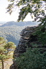 Hill with trees in mountains