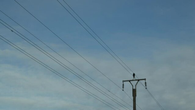 Electricity poles with electrical wires from car pov