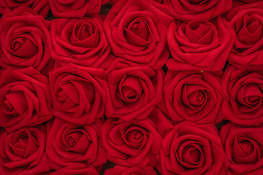 A variety of flowers of red roses as a background