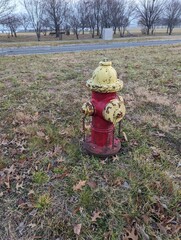 Yellow and red fire hydrant, view from 3/4 above view