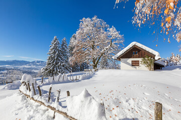 Allgäu - Winter - Tiefschnee - Dezember - Traumhaft