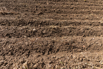 Post-season tranquility: A simple, plowed field, a testament to the agricultural cycle's...