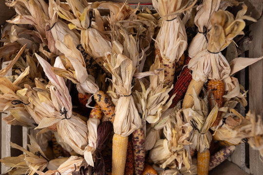 At the fall festival, a rustic basket overflows with dried corn, embodying the cozy essence of autumn. A harvest display full of warmth and charm.