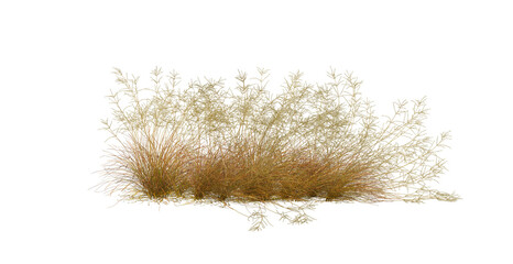  A small garden decorated with many flowers and plants on a transparent background.