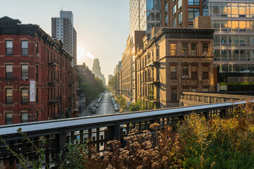 The High Line Park, Manhatten, New York City, New York, USA