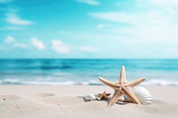 Fototapeta na wymiar tropical seashells and starfish on the beach of the caribbean